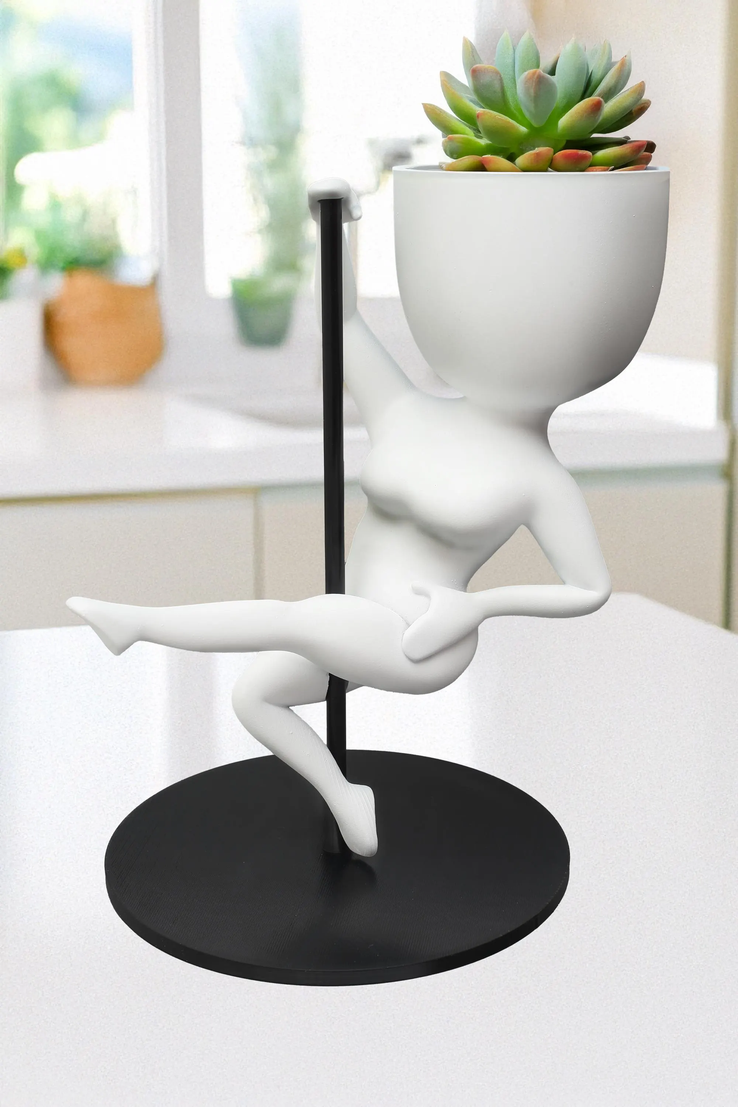 Pole Dancer succulent planter