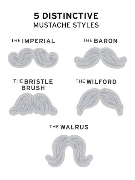 Mustache Cookie Cutter Stamp Set