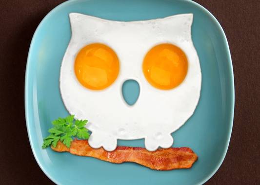 Breakfast Silicone Egg Cooking Mold - Funny Side Up