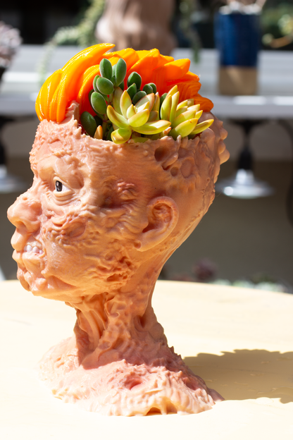 Rocker Zombi Succulent Planter Creepy Zombie Pot for Cactus Two Head Sections Gothic Decor