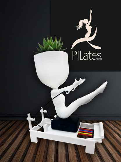 Pilates Reformer Teaser Pose Succulent Planter, Yoga Lover Gift, Unique Pilates Decor, Mini Plant Pot for Desk, Fun Pilates Instructor Gift